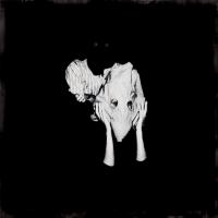 Artwork for Kveikur by Sigur Rós