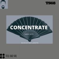 Artwork for CONCENTRATE by Harry Soto