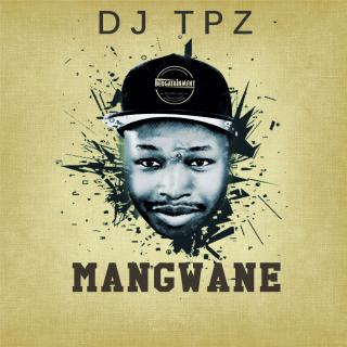 Artwork for Mangwane 