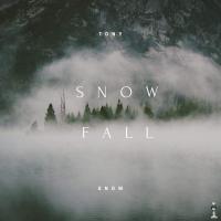 Artwork for Snow Fall by Tony Snow