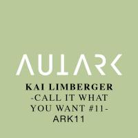 Artwork for Call It What You Want #11 by Kai Limberger