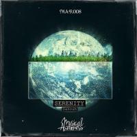 Artwork for Serenity by Danouh