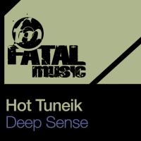 Artwork for Deep Sense by Hot TuneiK