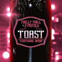 Artwork for Toast (feat. Wash) by Mally Mall