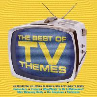 Artwork for Best Of TV Themes by The New World Orchestra