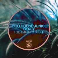 Artwork for Too Dark To Sleep by Zico House Junkie