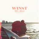 Artwork for Winst