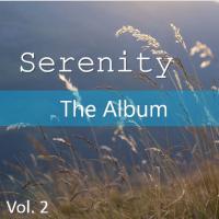 Artwork for Serenity: The Album, Vol. 2 by The Munros