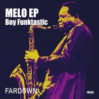 Artwork for Melo EP by Boy Funktastic