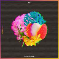 Artwork for Breakdown by RICH