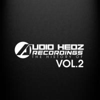 Artwork for The History of Audio Hedz Recording's, Vol. 2 by Various Artists