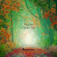 Artwork for Opium Trip by KeyZee