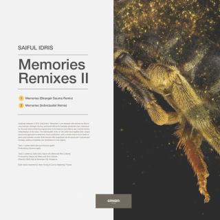 Artwork for Memories (Individualist Remix)