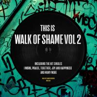 Artwork for This is Walk Of Shame, Vol.2 by Various Artists