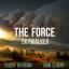 Artwork for The Force (Skywalker)
