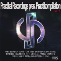 Artwork for Practikompilation, Vol. 1 by Various Artists