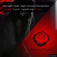 Artwork for Perfection by Farzam