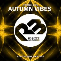 Artwork for R3sizzer pres. Autumn Vibes 2014 by Various Artists