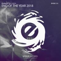 Artwork for Evolve Records, End Of The Year 2018 by Various Artists