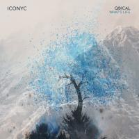 Artwork for What's Life by Qbical