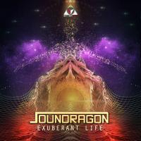 Artwork for Exuberant Life by Soundragon