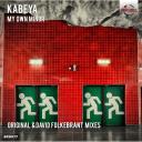 Artwork for My Own Minor (David Folkebrant Remix)