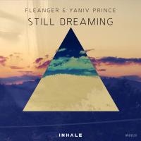 Artwork for Still Dreaming by Fleanger