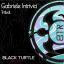 Artwork for Tribal Mood