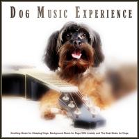 Artwork for Dog Music Experience: Soothing Music for Sleeping Dogs, Background Music for Dogs With Anxiety and The Best Music for Dogs by Dog Music Experience