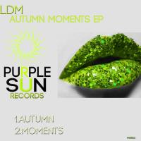 Artwork for Autumn Moments EP by LDM