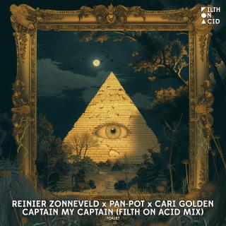 Artwork for Captain my Captain (Filth on Acid Mix)