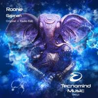 Artwork for Gajanan by ROONIE