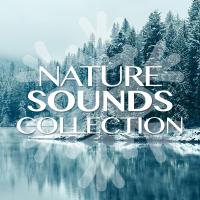 Artwork for Nature Sound Collection by Sleep Sounds of Nature