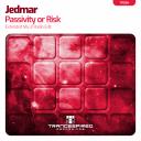 Artwork for Passivity or Risk (Extended Mix)