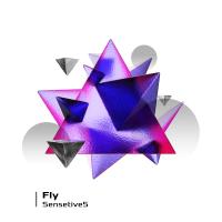 Artwork for Fly by Sensetive5