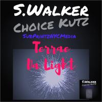 Artwork for Da Light by Terrae'