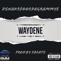 Artwork for Waydene by DSnake Fooeda Grammys