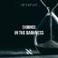 Artwork for In The Darkness (Original Mix)