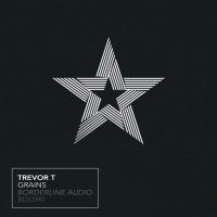 Artwork for Grains by Trevor T