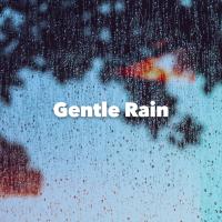 Artwork for Gentle Rain by Deep Sleep