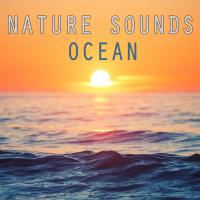 Artwork for Nature Sounds Ocean by Ocean Waves For Sleep