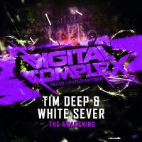 Artwork for The Awakening by Tim Deep