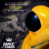 Artwork for Get Low by Nicky Jones