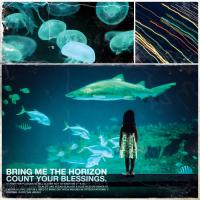 Artwork for Count Your Blessings by Bring Me The Horizon