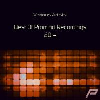 Artwork for Best Of Promind Recordings 2014 by Various Artists