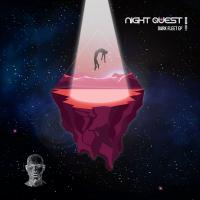 Artwork for Dark Fleet by Night Quest