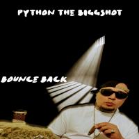 Artwork for Bounce Back by Python The Biggshot