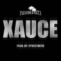 Artwork for Xauce by Paradise Beta