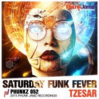 Artwork for Saturday Funk Fever by Tzesar