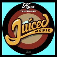 Artwork for Funky Madness by Hiva